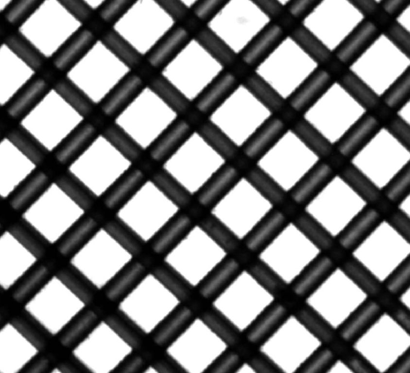 Filter Camera Image Basilius Inc
